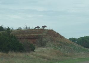 Stark Outside Kingman